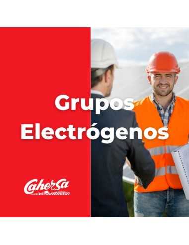 Grupo Electrógeno AYERBE AY - 12500 H MN E