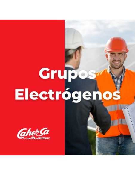 Grupo Electrógeno AYERBE LX7000TX