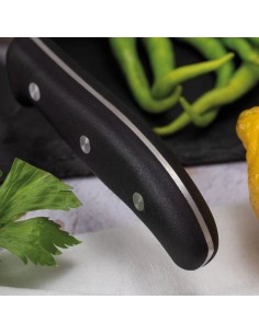 Cuchillo Verduras 3 CLAVELES Domvs 9 cm 00950 | 3 Claveles | Ferretería Cahersa 2