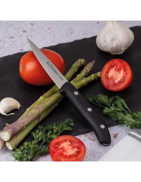 Cuchillo Verduras 3 Claveles Domvs 9 cm 00950