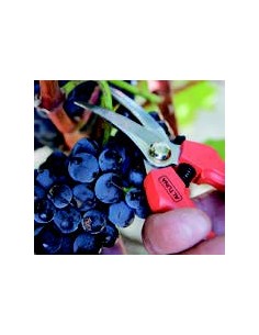 Tijera de Recolección ALTUNA 1260 Inox 2