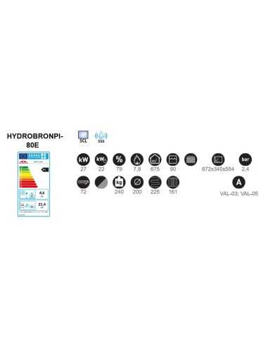 Caldera De Calefacción De Leña Insertable Br | Hogar Cahersa