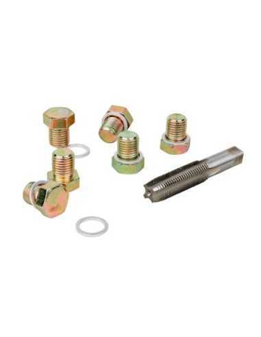 Reparador Roscas Tapón de Carter M-13 Set 53235