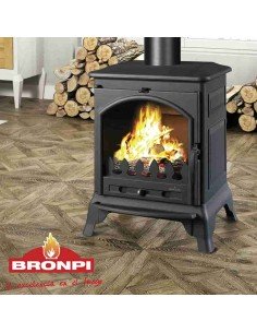 Estufa De Leña BRONPI Ordesa Hierro Fundido | Hogar Cahersa