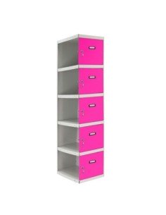 Armario Taquilla SIMON LOCKER Profesional dism.5 puerta 1/5 400 adi Gris/Rosa