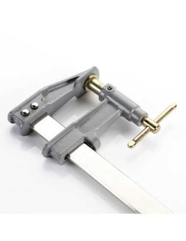 Tornillo Apriete ALYCO EMBOLO 400X100