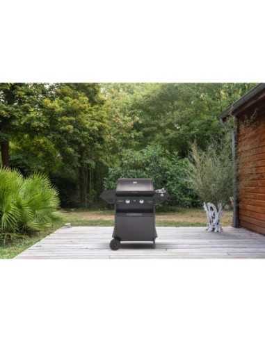 Barbacoa de Gas CAMPINGAZ Xpert 200 LS Plus Rocky | Potencia y Estilo