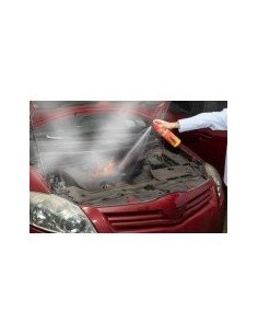 EXTINTOR FUEGO NET 500G "P.OFERTA" 2