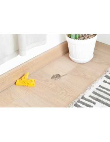 Trampa ROE-TRAP Massó Ratas y Ratones 2 unid