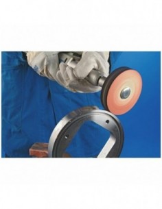 Disco FIELTRO INCL.FK SC10020/10MS 2