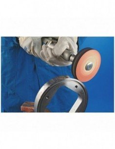 Disco FIELTRO INCL.FK SC10020/10MS 2