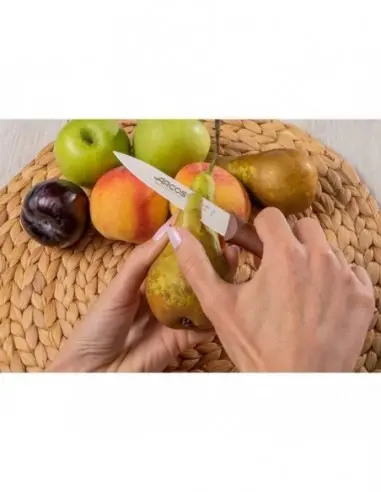 Mondador ARCOS 188628 | Pelador Profesional de Hoja Móvil Inox