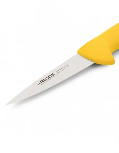 Cuchillo Carnicero ARCOS 292900 | Hoja Inox Nitrum® 250 mm Profesional