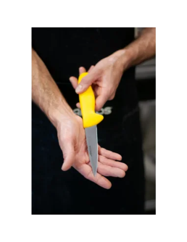 Cuchillo Carnicero ARCOS 292900 | Hoja Inox Nitrum® 250 mm Profesional