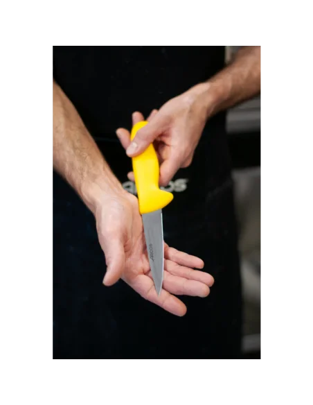 Cuchillo Carnicero ARCOS 292900 | Hoja Inox Nitrum® 250 mm Profesional