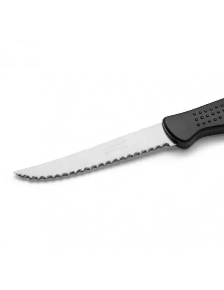 Cuchillo de Cocina ARCOS 805109 | Hoja Inox Nitrum® 200 mm Serie Riviera