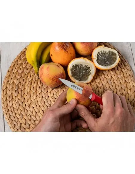 Cuchillo Mondador Arcos Nova 188622 – Corte Preciso y Duradero