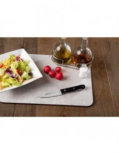 Cuchillo Cocinero Arcos 280204 – Profesional y Versátil