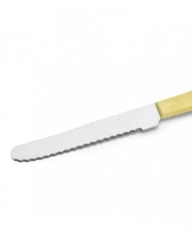 Cuchillo Chuletero Arcos 375500 – Hoja 110?mm Monoblock de Acero Inoxidable