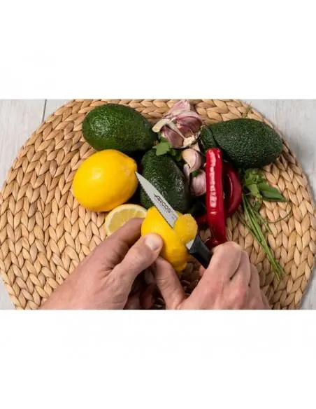 Cuchillo Mondador Arcos Nova 188610 – Corte Preciso y Elegante