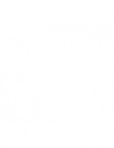 Xylazel Cera Ebanisteria Xylazel Transparente 250 ml para 2