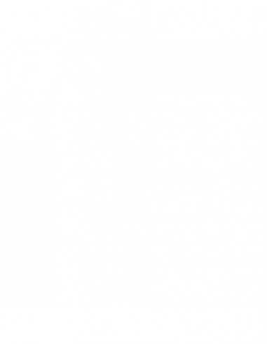 Xylazel Rotulador para Madera XylazelTapa Arañados Castaño