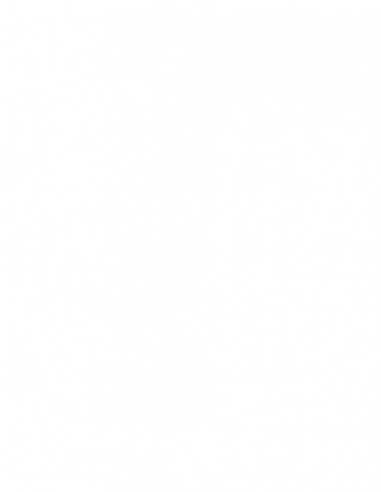 Xylazel Aceite para Teca Xylazel ,Teca 750 ml para madera