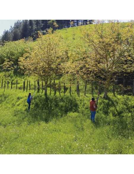 Serrucho de Poda Gancho Altuna con Pértiga Oval 2*1mt |