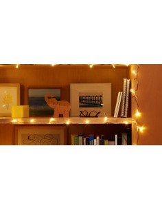 Ganchos Mini INOFIX transparentes 12 ganchos 14 plaquitas | Mejora tu hogar hoy 2