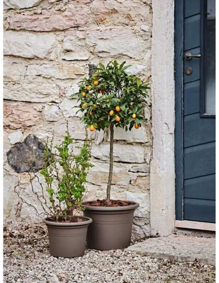 Maceta Vaso TERAPLASTIC Cilindro Basic Terracotta 20cm