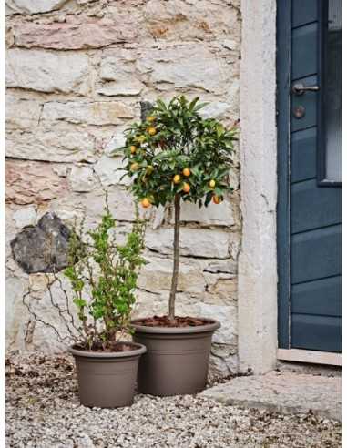 Maceta Vaso TERAPLASTIC Cilindro Basic Terracotta 40cm