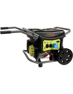 Generador Gasolina WX6200 Manual + AVR PRAMAC