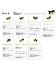 Generador Gasolina MES8000 Manual + AVR PRAMAC 2