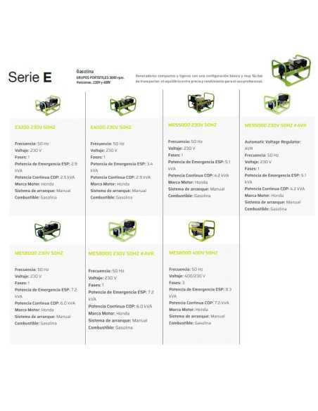 Generador Gasolina MES8000 Manual + AVR PRAMAC