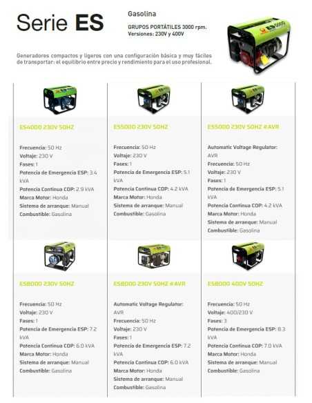 Generador Gasolina ES8000 Manual PRAMAC