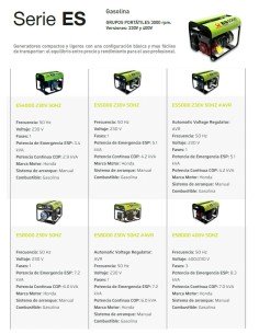 Generador Gasolina ES8000 Manual + AVR PRAMAC 2