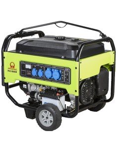 Generador Gasolina PX10000 Manual + AVR PRAMAC
