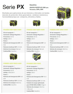 Generador Gasolina PX8000 400v Manual + AVR PRAMAC 2