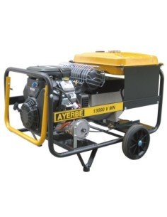 Grupo Electrógeno AYERBE 13000 MN AVR VANGUARD A/E