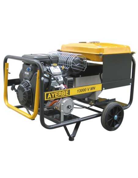 Grupo Electrógeno AYERBE 13000 MN AVR VANGUARD A/E