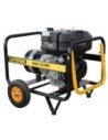 Grupo Electrógeno AYERBE AY-6000 A/M MN
