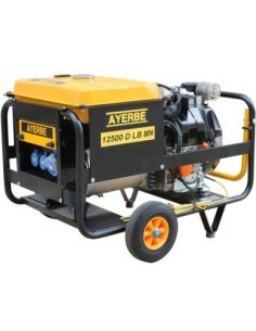 Grupo Electrógeno AYERBE AY-12500 D MN A/E