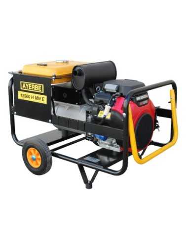 Grupo Electrógeno AYERBE AY - 12500 H MN E
