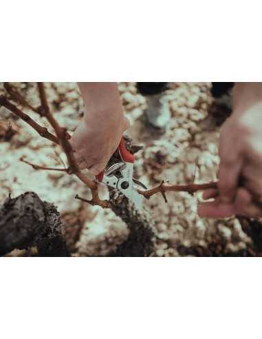 Tijera de Poda 1 Mano ALTUNA J465 - Oferta de Temporada