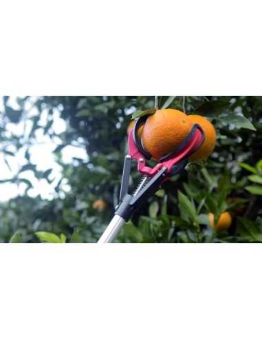Recoge frutas Telescópico ALTUNA 90101