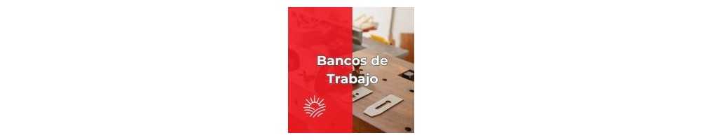 Bancos de Trabajo para Taller u Hogar | Resistencia y Orden | Cahersa