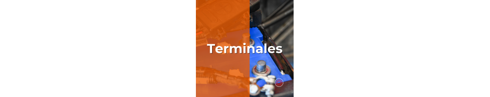 Terminales