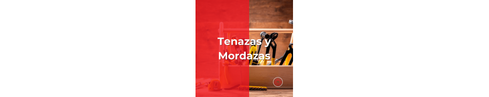 Tenazas y Mordazas