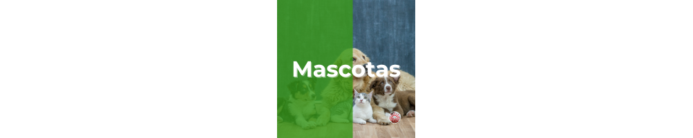 Mascotas