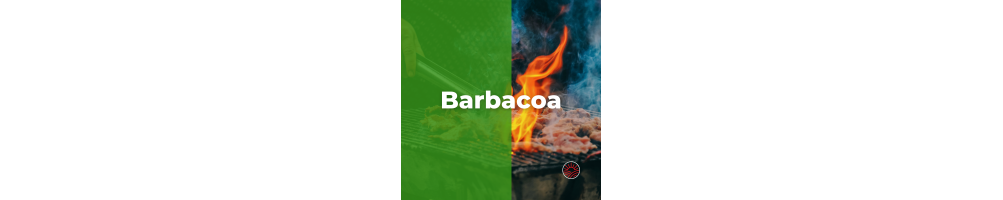 Barbacoas de Gas, Carbón y Portátiles | Ferretería Cahersa